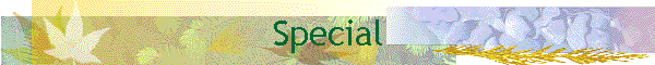 Special